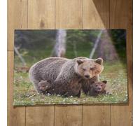 Isdreem Tapis de Porte D'Entrée Interieur Tapis D'Entrée Fun Ours Tapis de Porte D'Entrée Interieur Fantaisie Grand Tapis Salle de Bain Tapis Décoratifs Antidérapants, 40x60cm