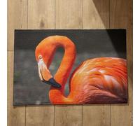 Isdreem Tapis de Porte Exterieur Tapis D'Entrée Welcome Flamant Tapis de Bain XXL Paillasson Automne Tapis Décoratifs Antidérapants en Coton Léger Et Pelucheux, 50x80cm