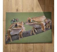 Isdreem Tapis de Porte Fin Tapis Entrée Original Grenouille Tapis de Sol Entrée Intérieure Tapis D Entrée Personnalisé Tapis Décoratifs Antidérapants, 50x80cm