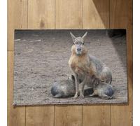 Isdreem Tapis de Porte Intérieur Tapis Salle de Bain Extra Fin sous Porte Kangourou Tapis de Bain Original Tapis Entrée Long Tapis Décoratifs Antidérapants, 45x75cm