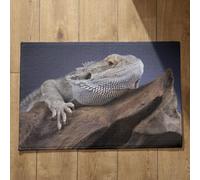 Isdreem Tapis de Porte Paillasson D'Entree Interieur Et Extérieur Tapis D'Entrée Bienvenue Lézard Tapis de Bain Antiderapant Baignoire Grand Tapis Salle de Bain, 45x75cm