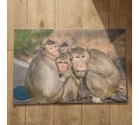 Isdreem Tapis de Porte Paillasson D'Entree Interieur Tapis D'Entrée Intérieur Welcome Singe Tapis de Cuisine Grande Taille Paillasson Intérieur Original, 40x60cm