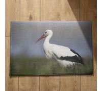 Isdreem Tapis de Porte sur Mesure Tapis Porte D'Entrée Oiseau Tapis de Bain Japonais Paillasson Interieur Original Tapis Décoratifs Antidérapants, 40x60cm