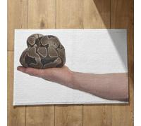 Isdreem Tapis de Porte Tapis D'Intérieur Entrée Serpent Tapis de Sol Tapis Salle de Bain Ultra Absorbante Tapis Décoratifs Antidérapants en Coton Léger Et Pelucheux, 50x80cm