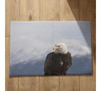 Isdreem Tapis de Porte Tapis Entrée Couloir Aigle Tapis de Cuisine Antidérapant Et Lavable Long Tapis Salle de Bain Absorbant Antidérapant Tapis Décoratifs Antidérapants, 50x80cm