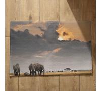 Isdreem Tapis de Porte Tapis Entrée Grand Format Éléphant Tapis de Porte Tres Fine Tapis D'Entrée Vintage Tapis Décoratifs Antidérapants en Coton Léger Et Pelucheux, 50x80cm