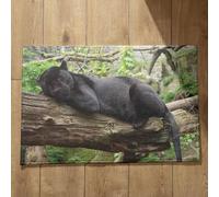 Isdreem Tapis de Porte Tres Fine Tapis D'Entrée Rigolo Panthère Noire Grand Tapis de Cuisine Antidérapant Et Lavable Tapis Salle de Bain Fun, 45x75cm