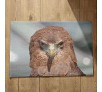 Isdreem Tapis de Porte Ultra Mince Paillasson Interieur Original Hibou Tapis de Bain Antiderapant Baignoire Paillasson One Piece Tapis Décoratifs Antidérapants, 40x60cm