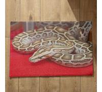Isdreem Tapis de Protection de Sol Tapis Maison Entrée Serpent Tapis de Cuisine Lavable en Machine Et Antidérapant Paillasson Exterieur Entree Original, 45x75cm