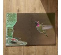 Isdreem Tapis de Sol Bureau Paillasson Entree Colibri Tapis de Bain Antidérapant Super Absorbant Tapis D'Entrée Grand Format Tapis Décoratifs Antidérapants, 45x75cm