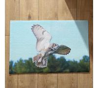 Isdreem Tapis de Sol Bureau Tapis D'Entrée Exterieur Original Hibou Tapis de Cuisine Indienne Paillasson Automne Tapis Décoratifs Antidérapants, 50x80cm