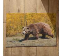 Isdreem Tapis de Sol Camping Tapis D'Entrée Extra Fine Ours Tapis de Cuisine Antidérapant Et Lavable Tapis Salle de Bain Coloré Tapis Décoratifs Antidérapants, 45x75cm