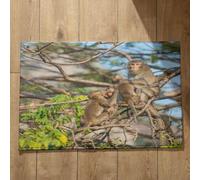 Isdreem Tapis de Sol Cuisine Lavable Paillasson Interieur Entree Personnalisé Singe Tapis de Porte Fin Paillasson Exterieur Entree Welcome Tapis Décoratifs Antidérapants, 50x80cm