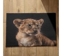 Isdreem Tapis de Sol Entree Interieur Paillasson Exterieur Original Lion Tapis de Bain Anti Humidité Tapis D'Interieur Entrée Tapis Décoratifs Antidérapants, 40x60cm