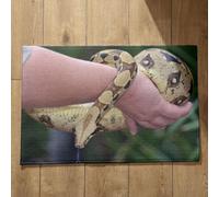 Isdreem Tapis de Sol Entree Interieur Tapis D'Entrée One Piece Serpent Tapis de Sol Entree Interieur Paillasson Personnalisé Photo Tapis Décoratifs Antidérapants, 50x80cm