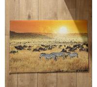 Isdreem Tapis de Sol Entrée Tapis Hall D'Entrée Long Zèbre Tapis de Cuisine Moderne Paillasson Interieur Entree Ultra Fine Tapis Décoratifs Antidérapants, 40x60cm