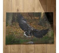 Isdreem Tapis de Sol Extérieur Paillasson Entree Original Aigle Tapis de Sol Bivouac Tapis Entrée Original Tapis Décoratifs Antidérapants en Coton Léger Et Pelucheux, 50x80cm