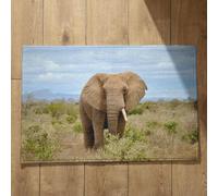 Isdreem Tapis de Sol Pliable Paillasson Interieur Entree Original Éléphant Tapis de Porte Tres Fine Tapis Paillasson Interieur Tapis Décoratifs Antidérapants, 45x75cm