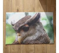 Isdreem Tapis de Sol Porte D'Entrée Intérieur Tapis D'Entrée Personnalisable Aigle Tapis de Sol One Piece Grand Tapis Entrée Absorbant Tapis Décoratifs Antidérapants, 50x80cm