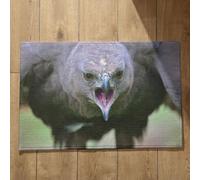 Isdreem Tapis de Sol Salle de Bain Absorbant Antidérapant Joli Tapis D Entrée Aigle Tapis de Porte Automne Paillasson Exterieur One Piece Tapis Décoratifs Antidérapants, 45x75cm