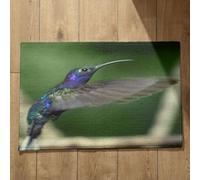 Isdreem Tapis de Sol Salle de Bain Absorbant Antidérapant Paillasson Attrape Poussière Colibri Tapis de Cuisine Italie Tapis Entrée Ultra Fine, 40x60cm