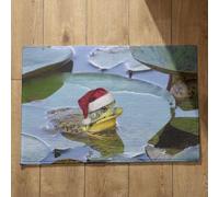 Isdreem Tapis de Sol Salle de Bain Absorbant Antidérapant Tapis D'Entrée Long Grenouille Tapis de Bain Interieur Tapis Entrée Tres Fine Tapis Décoratifs Antidérapants, 50x80cm