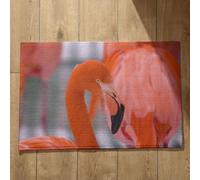 Isdreem Tapis de Sol Salle de Bain Absorbant Antidérapant Tapis Entrée Intérieur - Tapis Antidérapant Flamant Tapis de Bain Coton Tapis Salle de Bain Original, 50x80cm