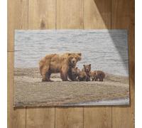 Isdreem Tapis Devant de Porte Interieur Paillasson Ultra Absorbant Ours Tapis de Cuisine Long Paillasson Personnalisé Tapis Décoratifs Antidérapants, 40x60cm