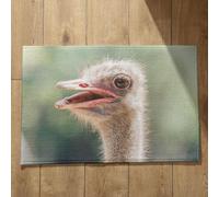 Isdreem Tapis Devant de Porte Interieur Tapis Entrée sur Mesure Oiseau Tapis de Bain Absorbant Antidérapant Tapis Long Couloir Entrée Tapis Décoratifs Antidérapants, 50x80cm