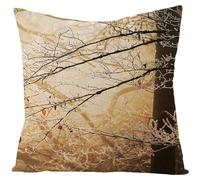Isdreem Tissu en Lin Housse Coussin Original taie d'oreiller la Reine des neiges Housse Coussin Impermeable taie d'oreiller de Salon Housses de Coussin 40x40cm