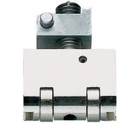 ISEO FRANCE SAS (CAVERS) SQA60120 Rouleau Seul pour Blindo et Multiblindo ISEO-Axe 25 mm-040801