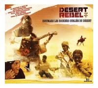Ishumars Les Rockers Oubliés Du Désert (Documentaire