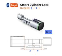 Isidora: Journal D'un Solitaire À Paris