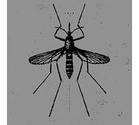 Isis - Mosquito Control (Reissue)