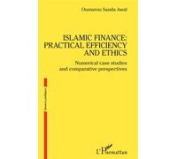 Islamic finance: practical efficiency and ethics: Numerical case studies and comparative perspectives