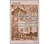 Islamic Law In Action: Authority, Discretion, And Everyday Experiences In Mamluk Egypt