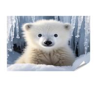 islandburner Image Poster bébé ours polaire neige Premium Images photo photo