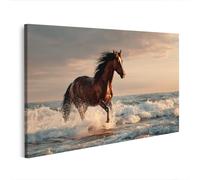 islandburner Image sur toile - Cheval marron sur la plage - Décoration murale pour les amoureux des animaux - Édition F1