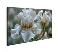 islandburner Image sur toile élégante - Motif fleurs d'iris - Pour salon - Pour les amoureux de la nature - Edition O4