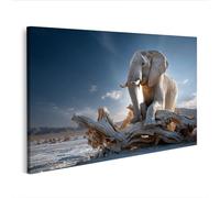 islandburner Image sur toile éléphant sur tronc d'arbre - Décoration murale pour les amoureux des animaux - Édition O1