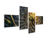 islandburner Image sur toile - Magnifique toile d'araignée avec gouttes d'eau au soleil - 4 pièces - Édition J1