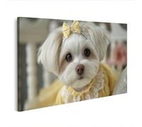 islandburner Image sur toile - Motif chien maltais dans une élégante robe jaune pour les amoureux des animaux - Édition K4