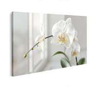 islandburner Image sur toile Orchidée blanche au design élégant pour des espaces de vie élégants - Edition U2