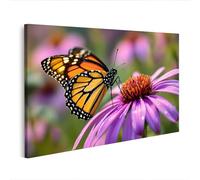 islandburner Image sur toile papillon sur fleur colorée au soleil - Edition Y7