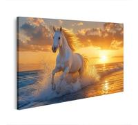 islandburner Image sur toile représentant un cheval majestueux au bord de la mer - Décoration murale pour salon - Pour les amoureux de la nature - Édition L2