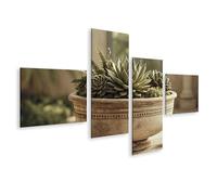 islandburner Impression sur toile - Arrangement harmonieux de plantes succulentes - Décoration murale pour salon - Pour les amoureux de la nature - 4 pièces - Édition B1
