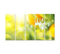 islandburner Impression sur toile avec oranges en fleurs ou citronniers - Citron bio sain ou oranges qui poussent dans un verger ensoleillé - Poster mural - Impression sur toile
