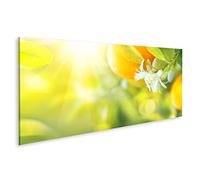 islandburner Impression sur toile avec oranges en fleurs ou citronniers - Citron bio sain ou oranges qui poussent dans un verger ensoleillé - Poster mural - Impression sur toile