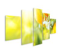 islandburner Impression sur toile avec oranges en fleurs ou citronniers - Citron bio sain ou oranges qui poussent dans un verger ensoleillé - Poster mural - Impression sur toile