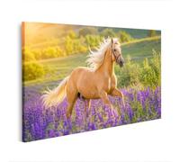 islandburner Impression sur toile - Cheval majestueux dans un champ de lavande - Décoration murale pour salon - Édition H2